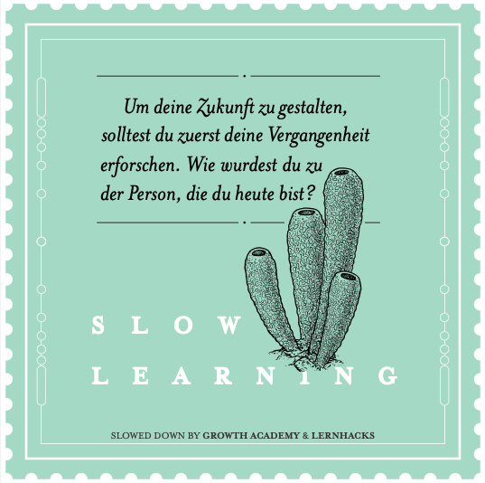 Bild: slow-learning.com Bild: slow-learning.com