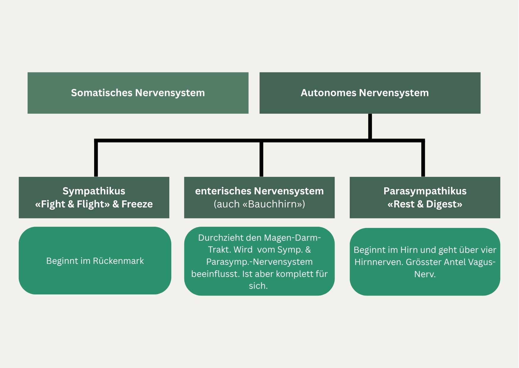 Eine erste Grafik aus meinem Lernprojekt, angelehnt an Inhalte aus dem Video von Dr. Janis
